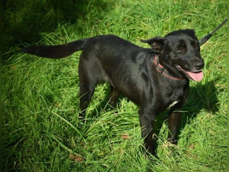 EBONY sehnt sich nach Geborgenheit