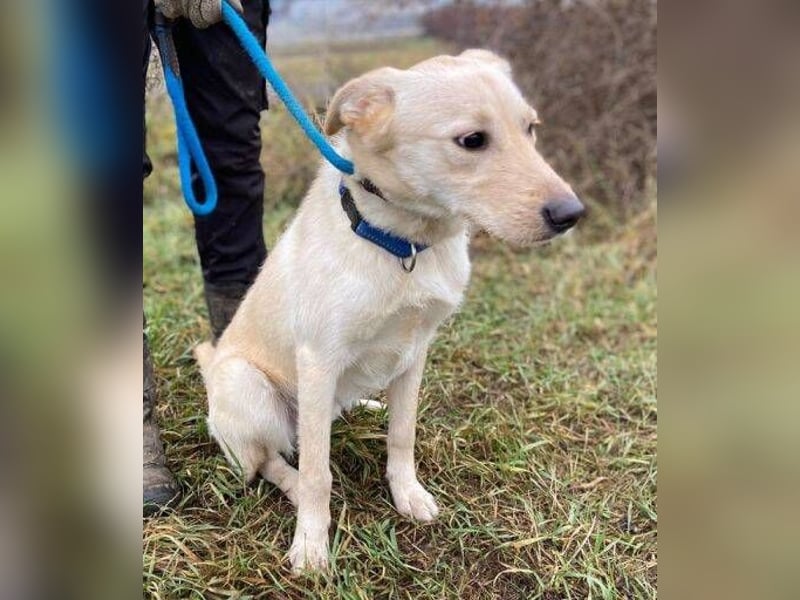 DARO wurde eiskalt ausgesetzt