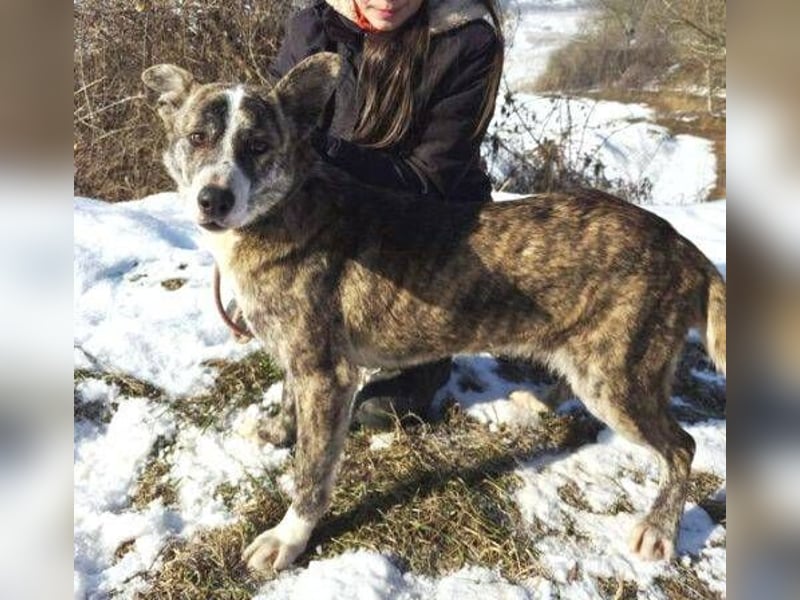 JUDY ist eine Schönheit