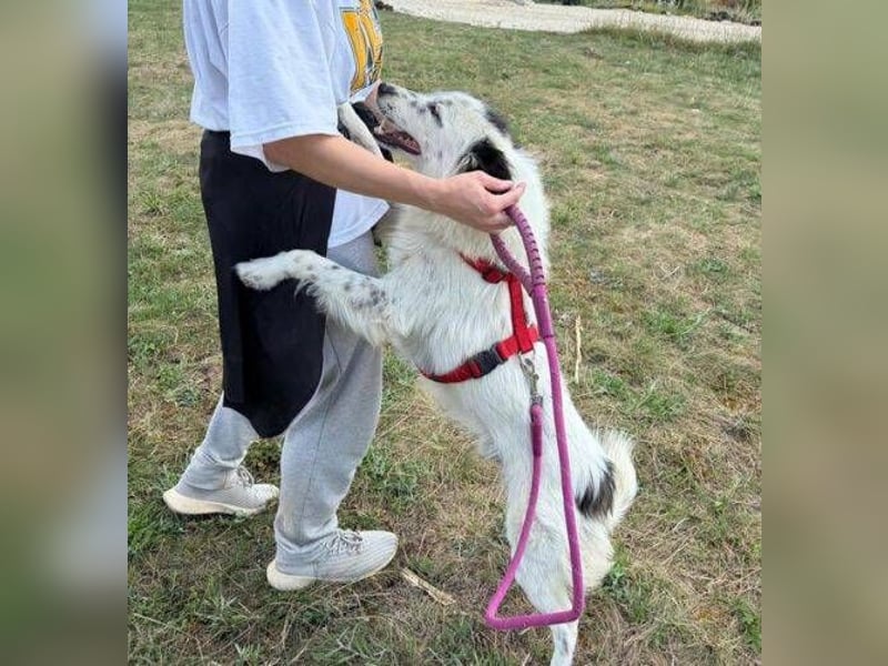 TUCKER ist in Gefahr