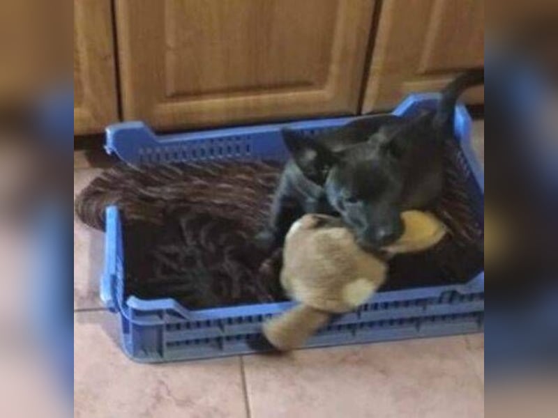 NINA 2 ist ei  Schnuckelchen