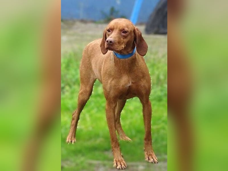 KERRY zittert um ihr Leben