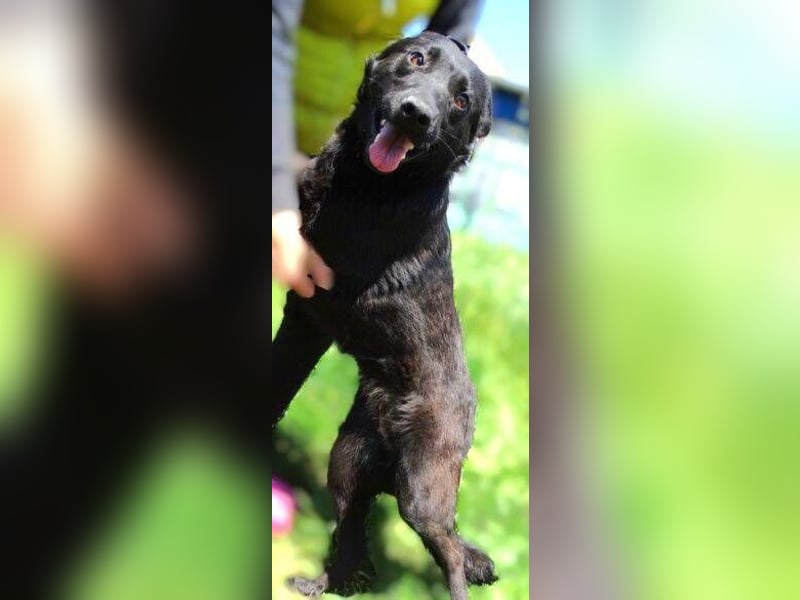 KLARA -wer ist ihr Retter in der Not?