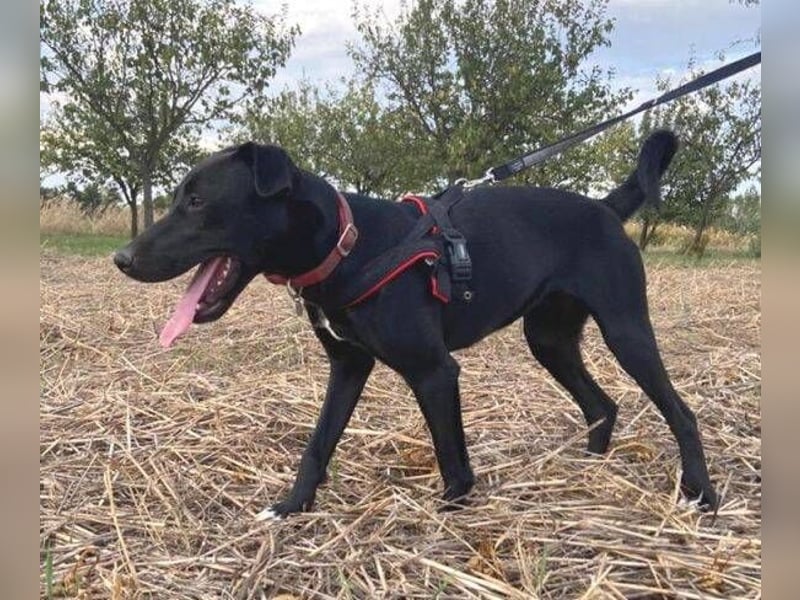 ELLA ist ganz zauberhaft