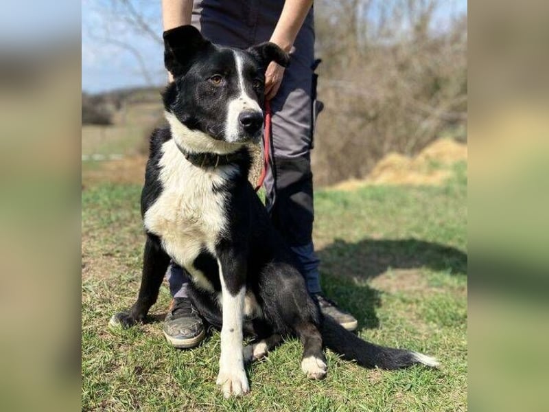 MANY wer tröstet ihn?