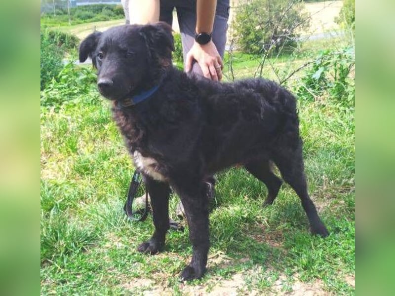 ALVARO war einsam und verlassen