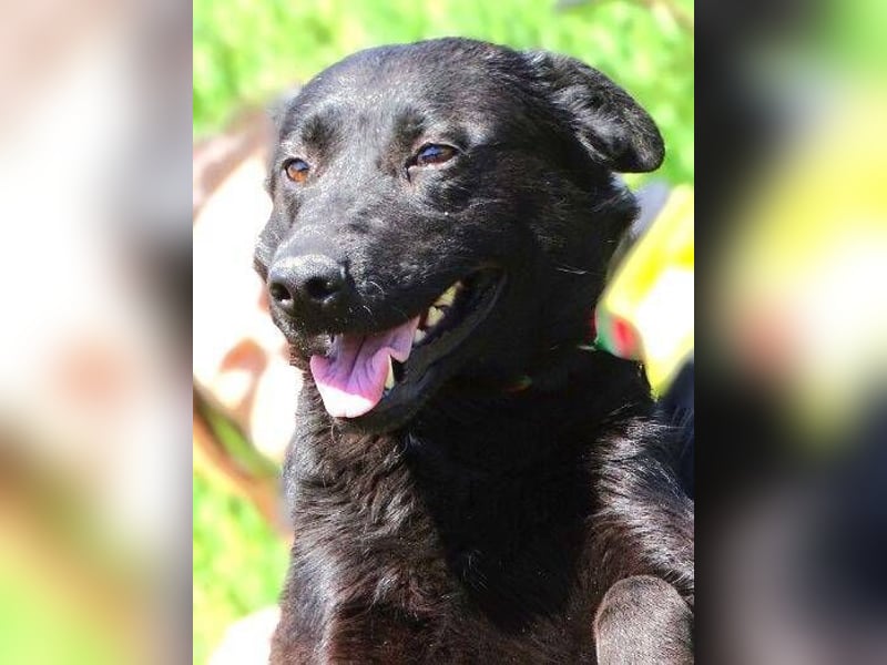 KLARA -wer ist ihr Retter in der Not?