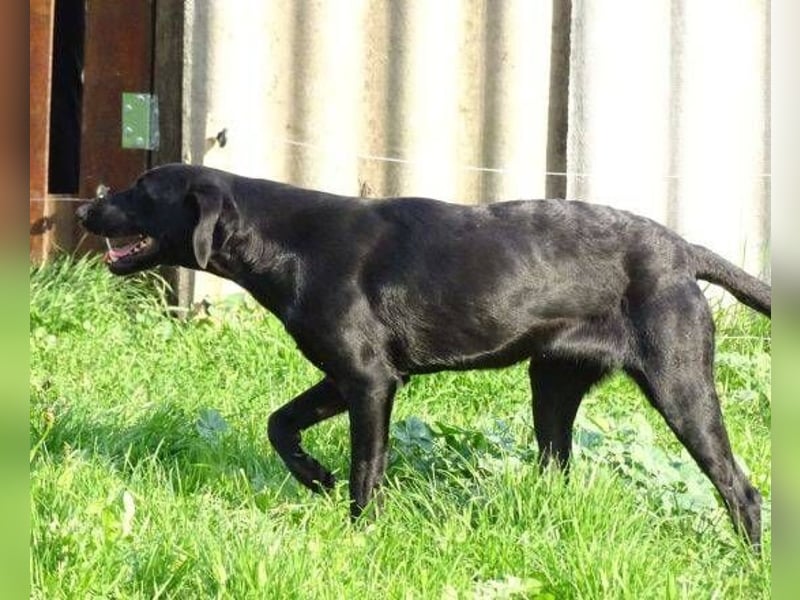 LUNA lechzt nach Liebe 