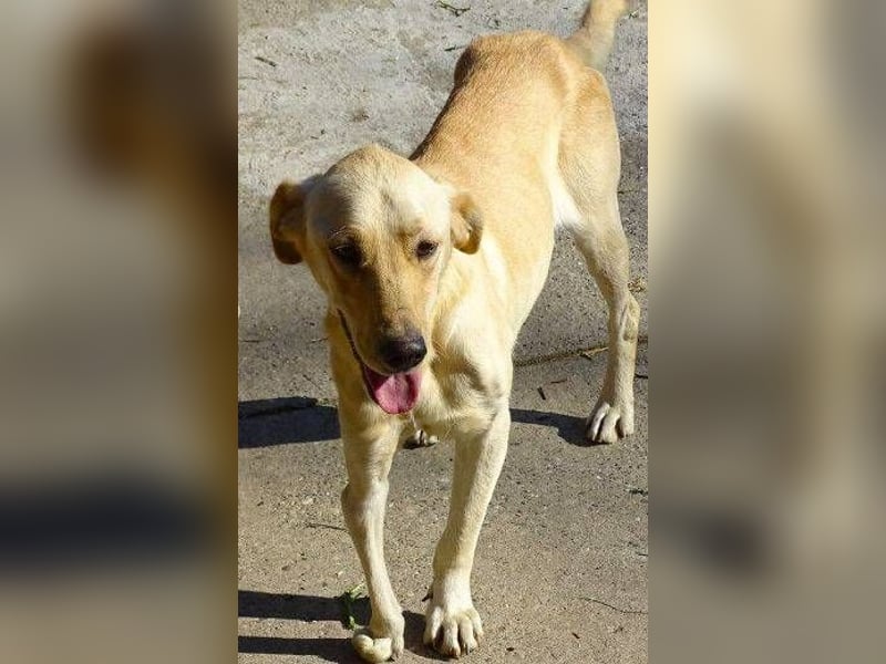 BAK schwebt in großer Gefahr