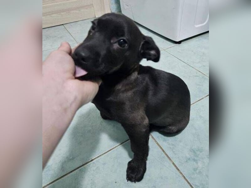 NINA 2 ist ei  Schnuckelchen