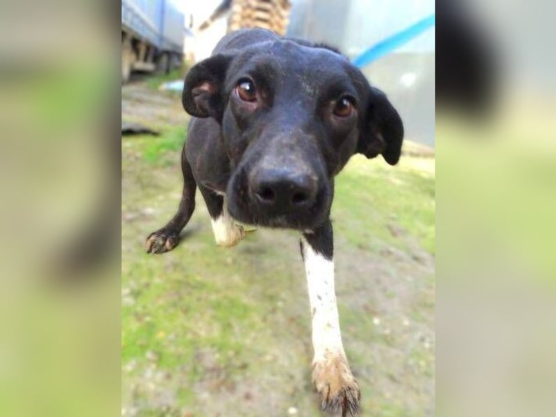 LULU wäre so gerne Teil einer Familie