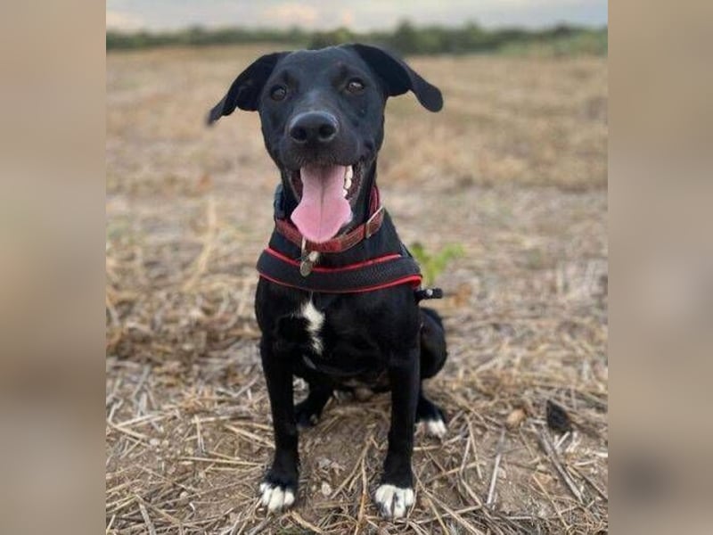 ELLA ist ganz zauberhaft