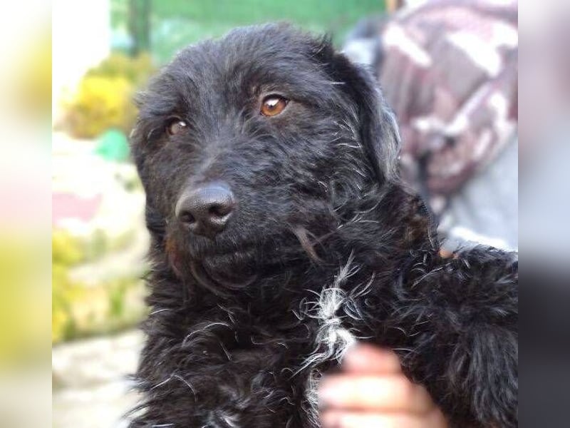 BEBA hofft auf Lebensretter