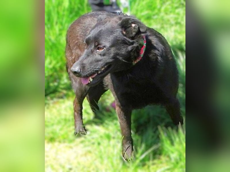 KLARA -wer ist ihr Retter in der Not?