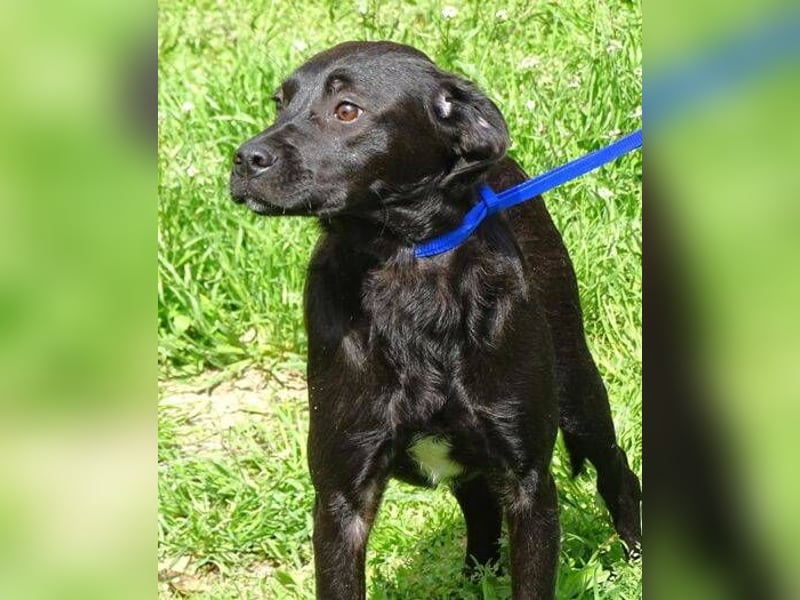 ARTHUR ist sehr lieb