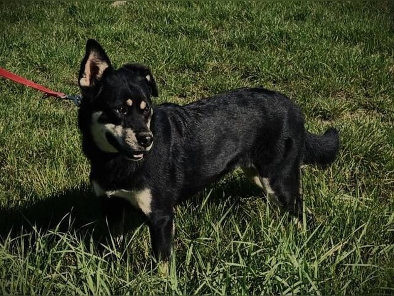 FREYA 3 ist lieb und verträglich