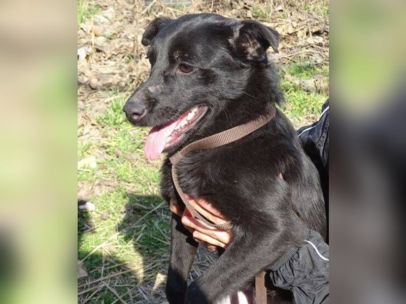 SUZIE sehnt sich so nach Liebe