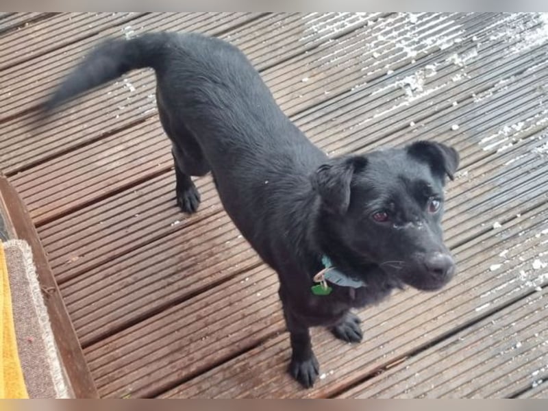 SUZIE sehnt sich so nach Liebe