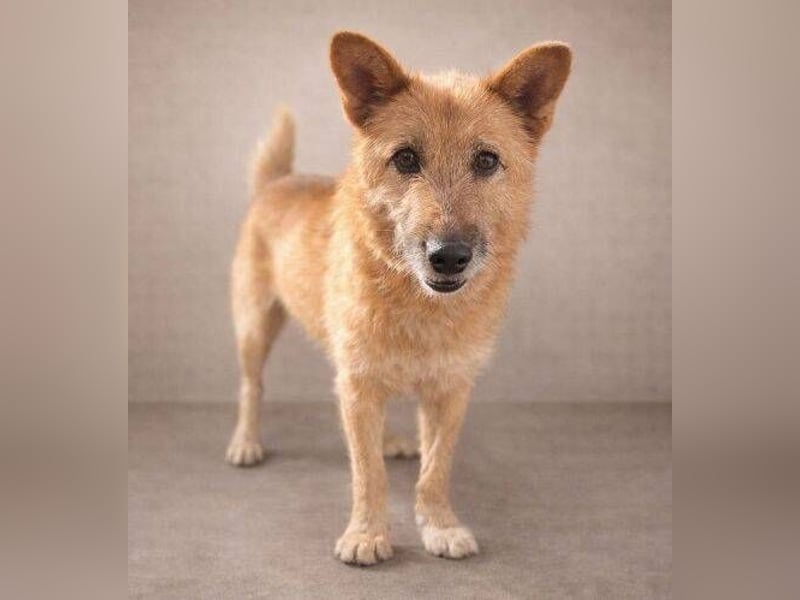 ELZA 2 ist super nett und freundlich