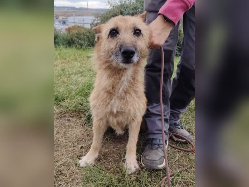 ELZA 2 ist super nett und freundlich