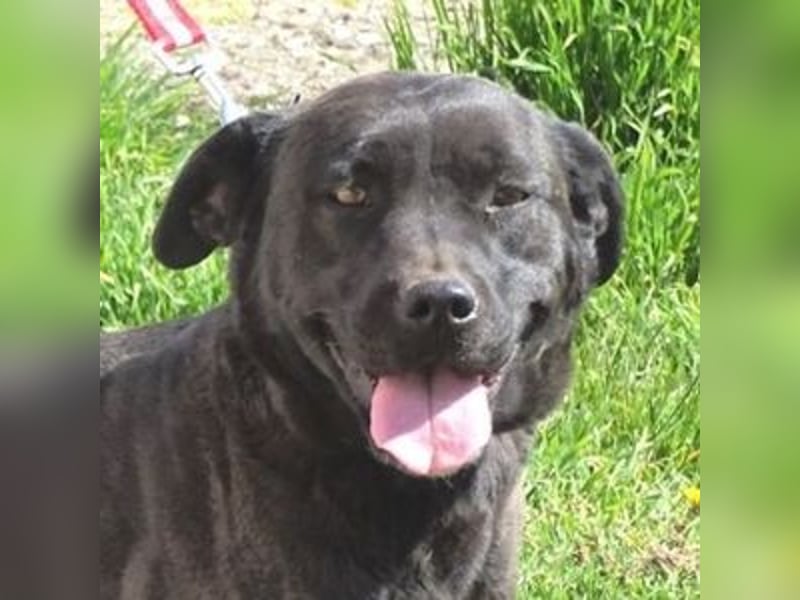 NIKA - Wer gibt ihr die Hoffnung zurück?