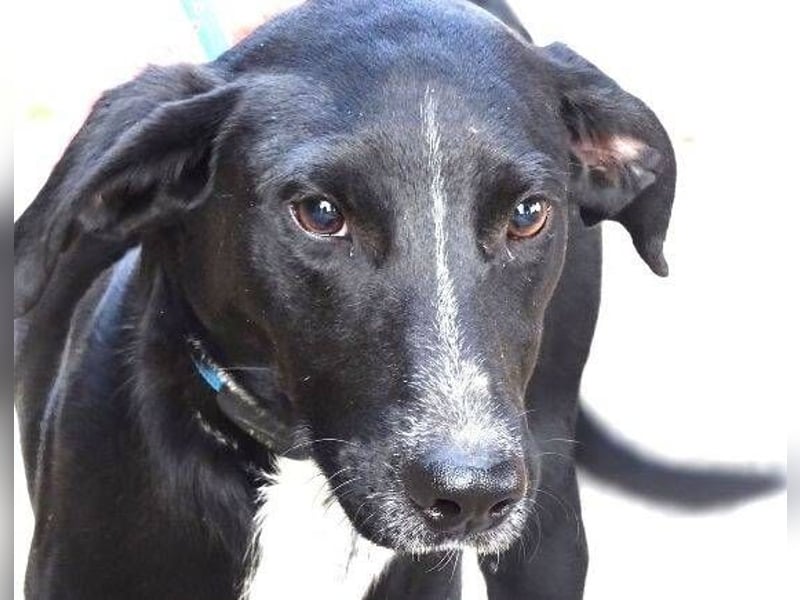 JEFF 2 hat Angst, wer rettet ihn?