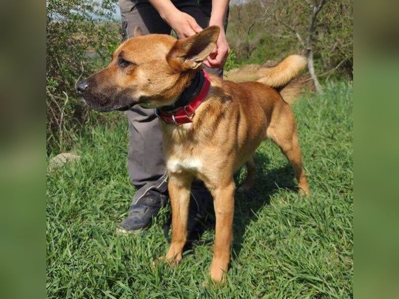 TOM 2 ist auf der Suche nach dem großen Glück