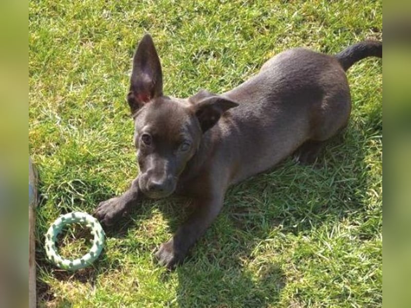 NINA 2 ist ei  Schnuckelchen