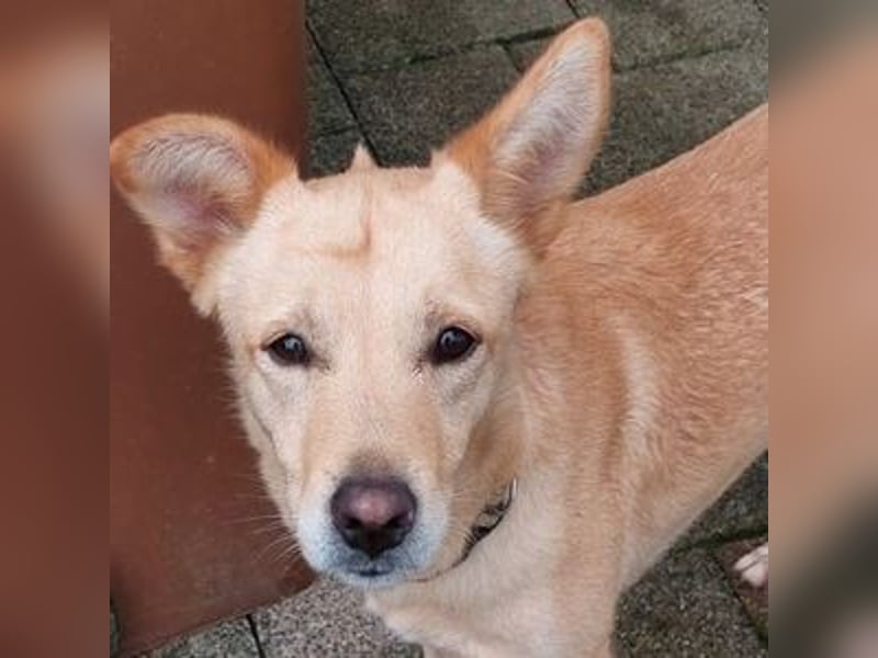 BONI ist sehr liebevoll