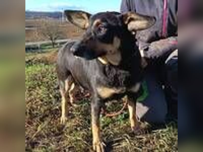 NORA 2 möchte ihr Herz verschenken 