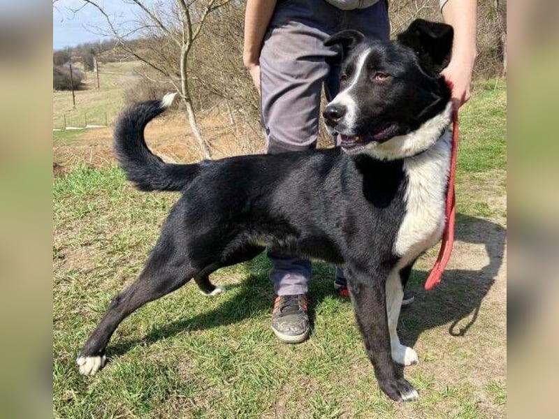 MANY wer tröstet ihn?