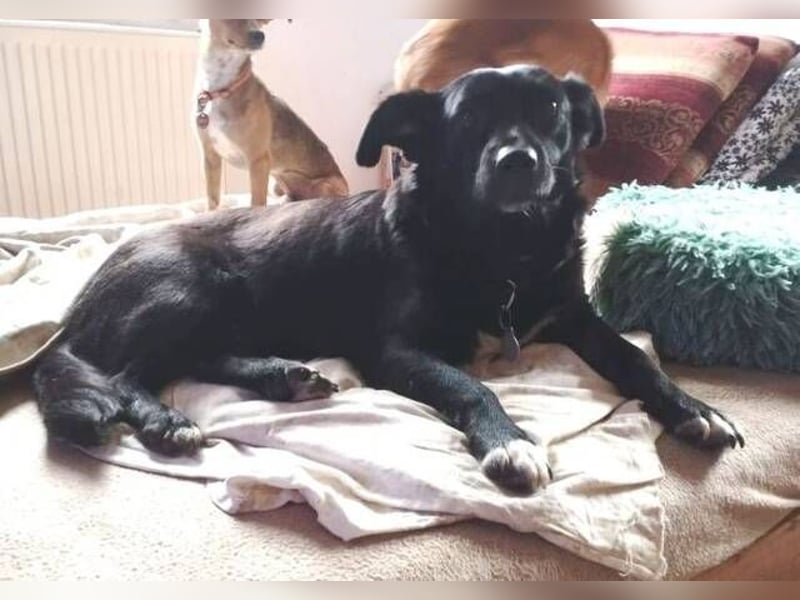 SUZIE sehnt sich so nach Liebe