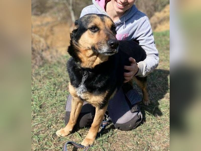 ALFA sehnt sich so nach einer Familie