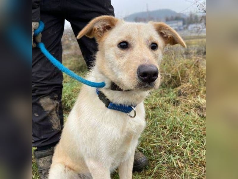 DARO wurde eiskalt ausgesetzt