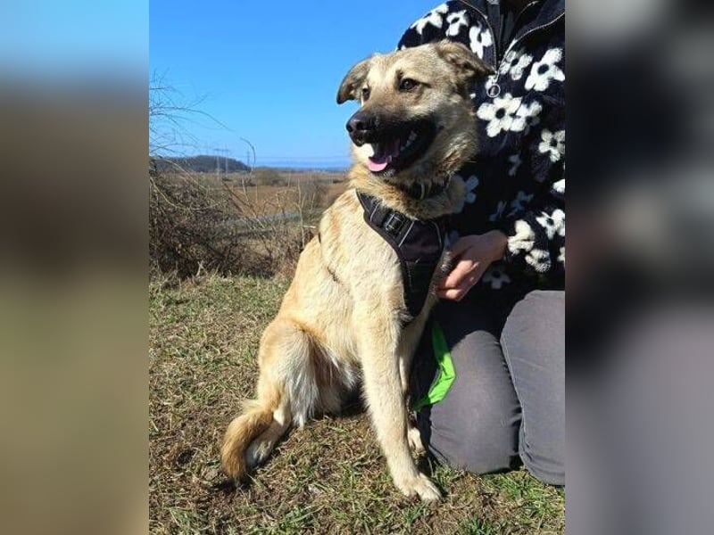 DAGY ist besonders zauberhaft