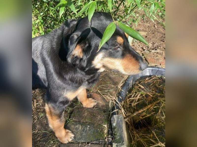 LENKA ist eine ganz sanft Seele