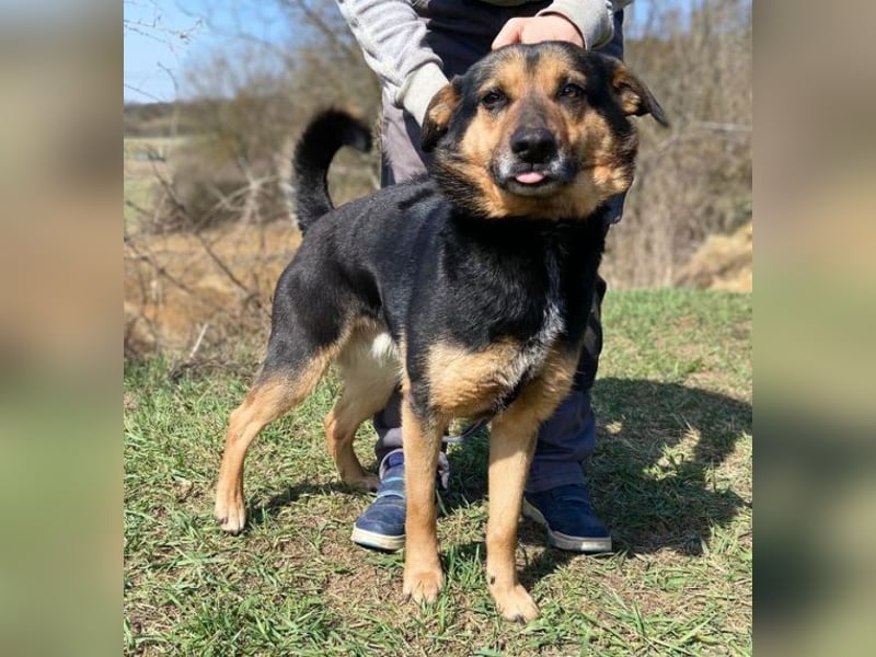 ALFA sehnt sich so nach einer Familie