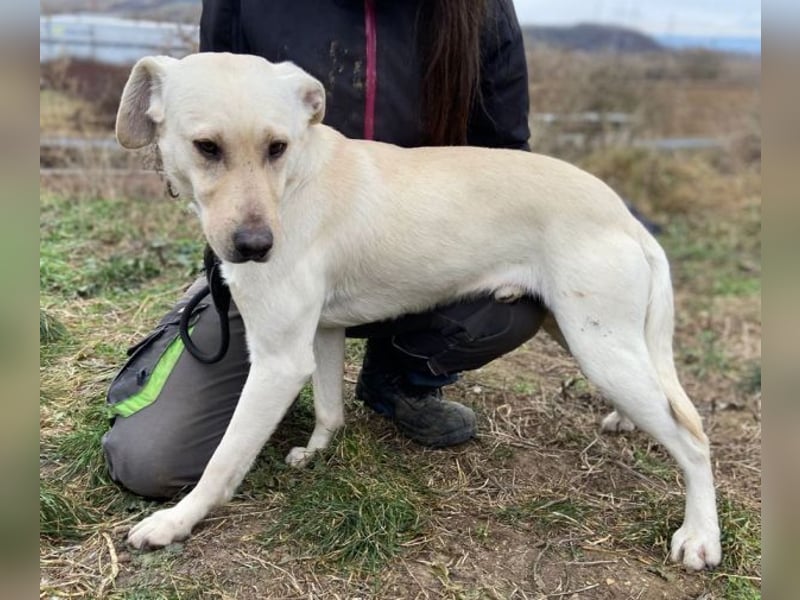 MAYLO braucht Liebe und Zuwendung