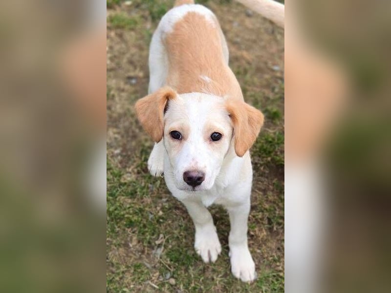 ANMARIE hofft so sehr auf ein Zuhause