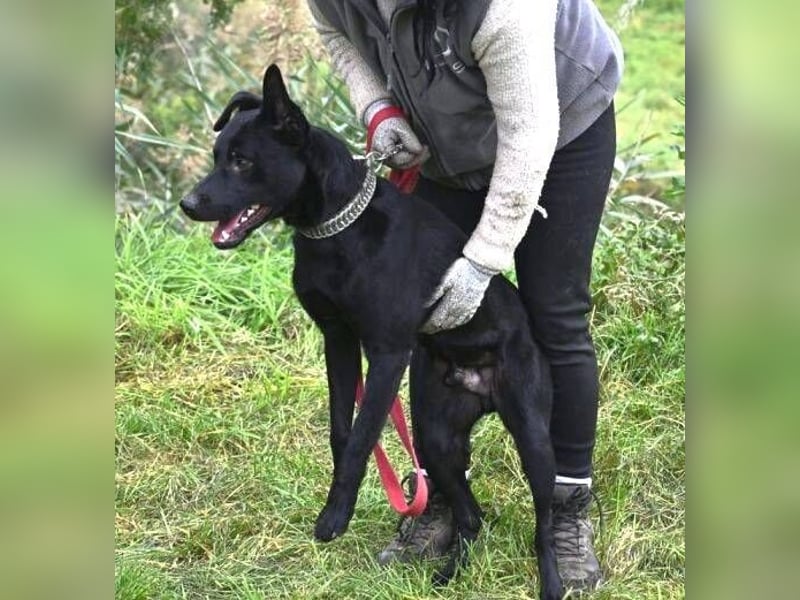 OLI braucht eine eigene Familie