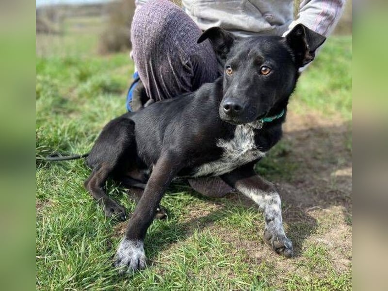 HAPPY  wurde eiskalt ausgesetzt
