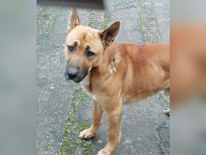 TOM 2 ist auf der Suche nach dem großen Glück