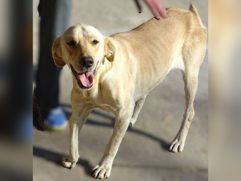 BAK schwebt in großer Gefahr