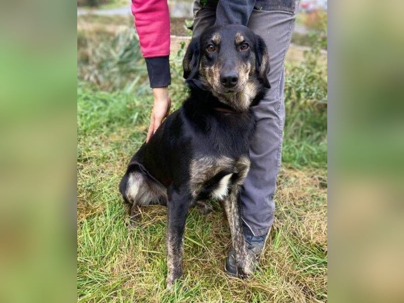 ARON irrte verloren umher