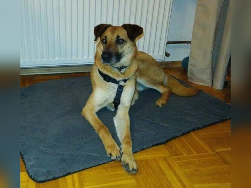 ROXY ist ein super Begleiter