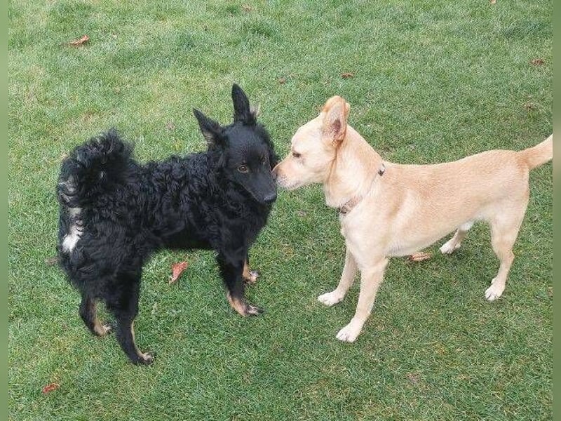 BONI ist sehr liebevoll