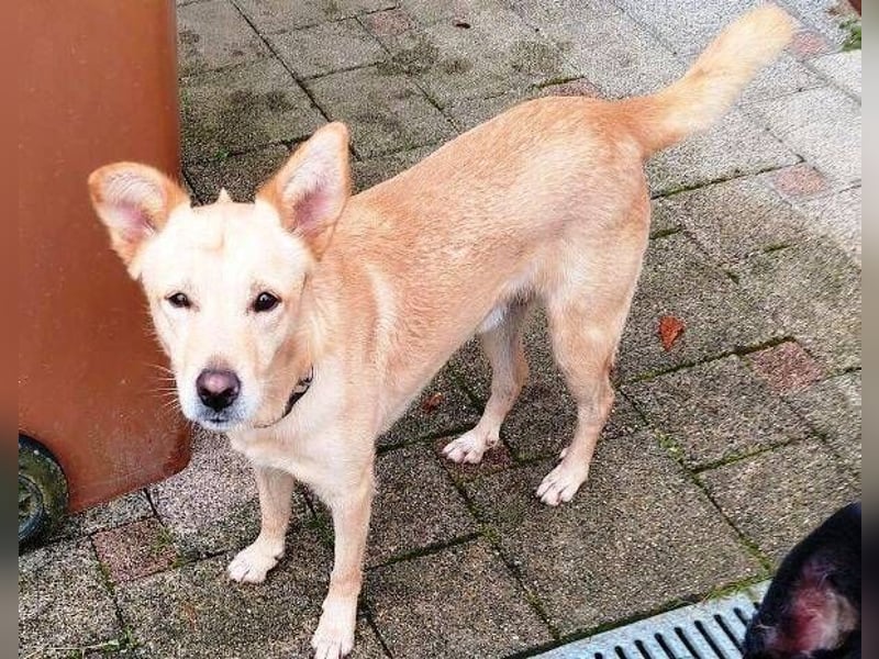 BONI ist sehr liebevoll