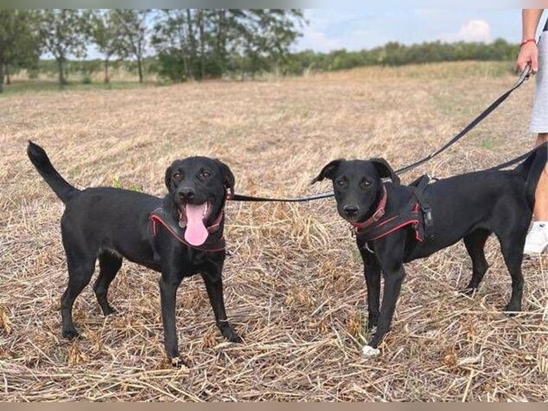 ELLA ist ganz zauberhaft