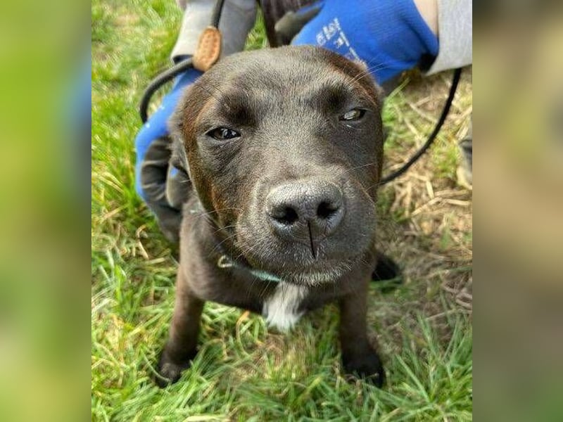 ZARA - wer zeigt ihr die Sonnenseite des Lebens?