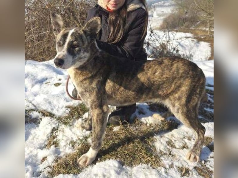 JUDY ist eine Schönheit